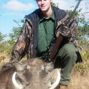 This is my 13" warthog I shot in Zimbabwe