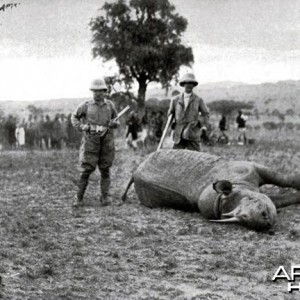 Theodore Roosevelt, Captain Slatter and rhino shot by Mr. Roosevelt at Kili