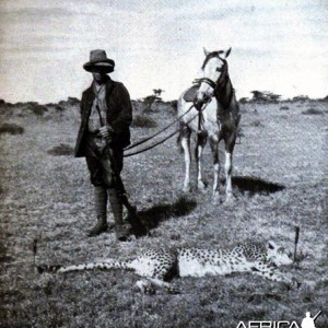 Tarlton and cheetah shot by Kermit Roosevelt