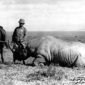 Theodore Roosevelt and his prize rhino