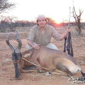 Remember this magnificient red hartebeest!