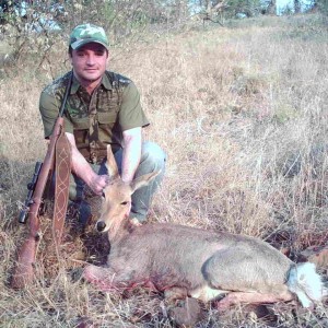 Mountain Reedbuck hunted in South Africa