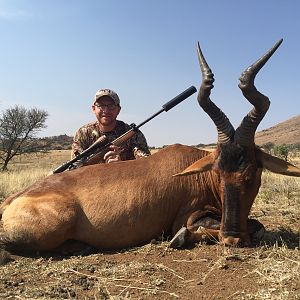 Red Hartebeest Hunting in South Africa