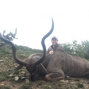 South Africa Hunt Kudu