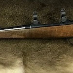 CZ 550 Medium Lux 7x64 Brenneke Rifle