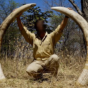 Elephant Trophy Hunt Caprivi Namibia