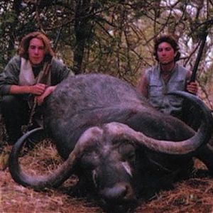 Hunting Cape Buffalo