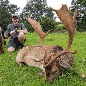 Fallow Deer Hunt in South Africa