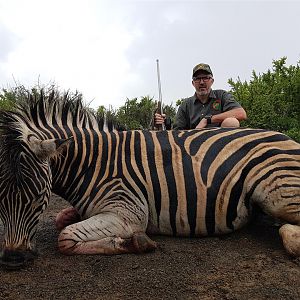 Hunt Burchell's Plain Zebra South Africa