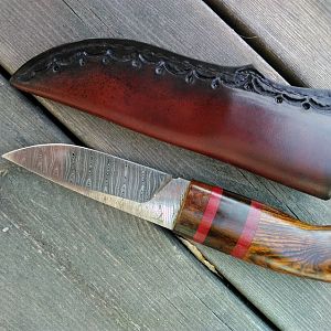 Hunting Knife handle made of fosil Seacow bone,Ciricote Bicote & Amarant