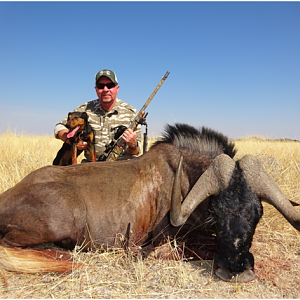 Black Wildebeest Hunting in Namibia