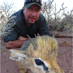 Namibia Hunting Damara Dik Dik