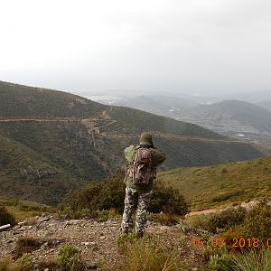 Spain Hunt