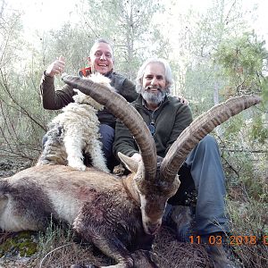 Spanish Ibex Hunt Spain