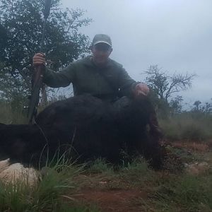 South Africa Hunting Ostrich