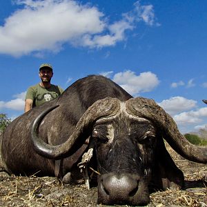Cape Buffalo Hunting in Tanzania