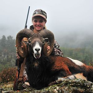 Mouflon Hunt in France