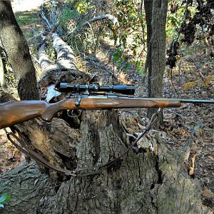 7x57 in a Mauser Rifle