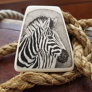Zebra Scrimshaw Art on Ebony stand