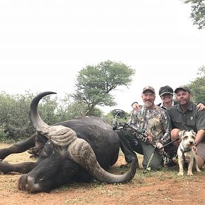 Cape Buffalo Bow Hunt in South Africa