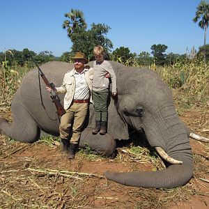 Zimbabwe Hunt Elephant