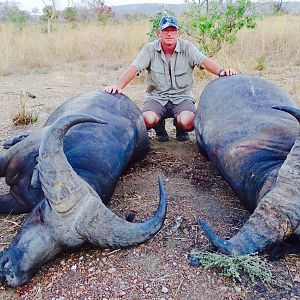 West African Savannah Buffalo Hunting in Benin