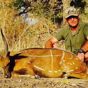 Hunting Harnessed Bushbuck Benin