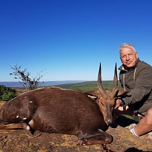 Bushbuck Hunting South Africa