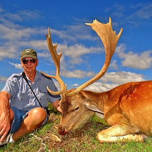 Hunting Fallow Deer