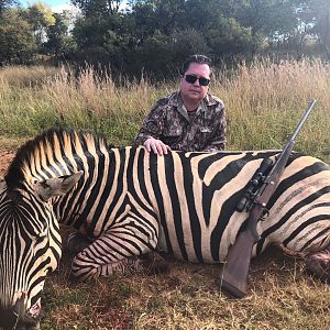 South Africa Hunt Burchell's Plain Zebra