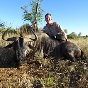 Blue Wildebeest Hunt in Namibia