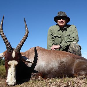 South Africa Hunt Blesbok