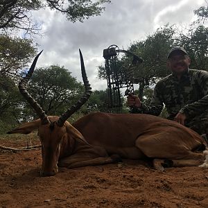 Bow Hunting Blue Wildebeest South Africa