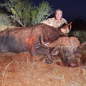 Hunt 43" Inch Cape Buffalo South Africa