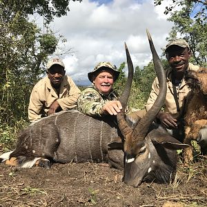 South Africa Hunting Nyala