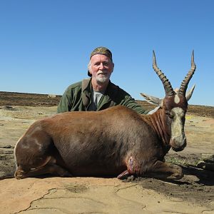 South Africa Hunting Blesbok