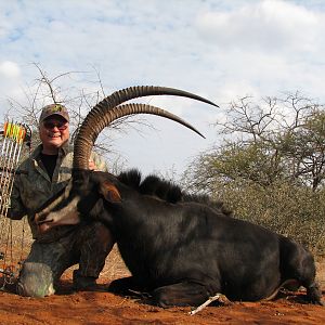 43 inch Sable from Choronga Safaris