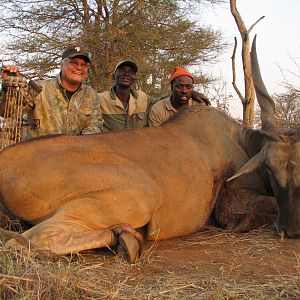 Cape Eland with Limcroma Safaris