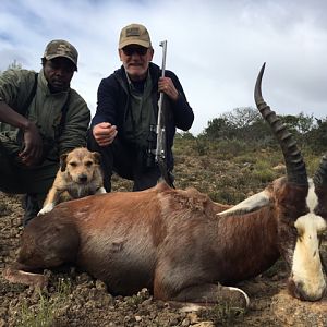 Hunt Blesbok South Africa