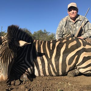 Hartmann's Mountain Zebra Hunt South Africa