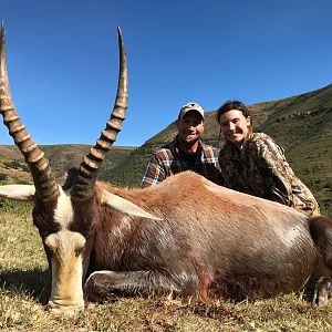 Hunting Blesbok in South Africa