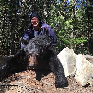 Black Bear Hunt Canada