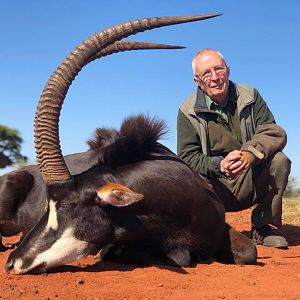 Hunting Sable Antelope in South Africa