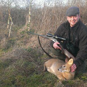 Great Britain Hunt Muntjac Deer