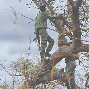 Anti Poaching scouts