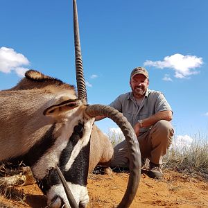 Gemsbok Hunt in Kalahari South Africa