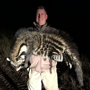 African Civet Hunt in Zimbabwe