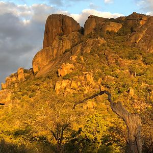 Zimbabwe Hunting Area