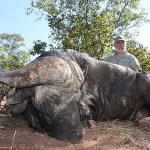 Cape Buffalo Hunt in South Africa