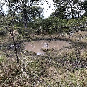 Natural Water Hole Zimbabwe